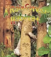 Image of rainforest habitat
