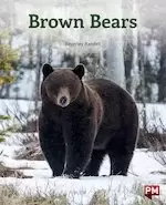 Image of PM Turquoise: Brown Bears (PM Non-fiction) Levels 18/19