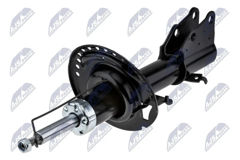 Image of NTY A-RE-031 Shock absorber Front Axle, Gas Pressure, Suspension Strut, Top pin Shock Absorber (854)
