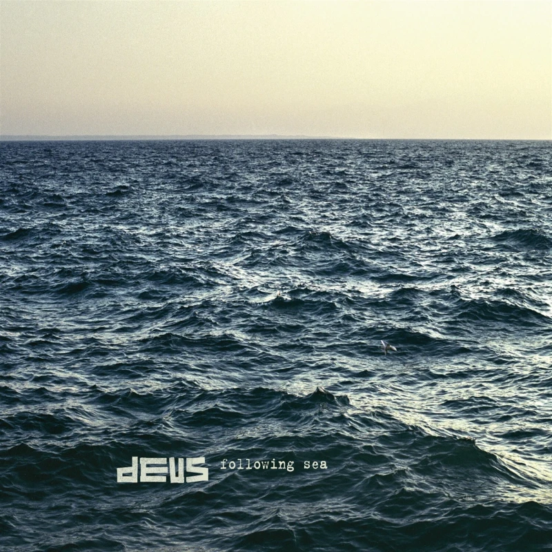 Image of Following Sea Vinyl
