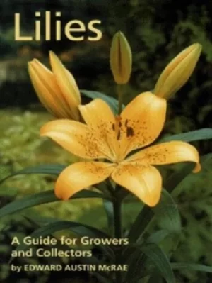 Image of Lilies by Edward Austin McRae