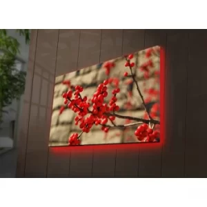 Image of 4570DACT-73 Multicolor Decorative LED Lighted Canvas Painting