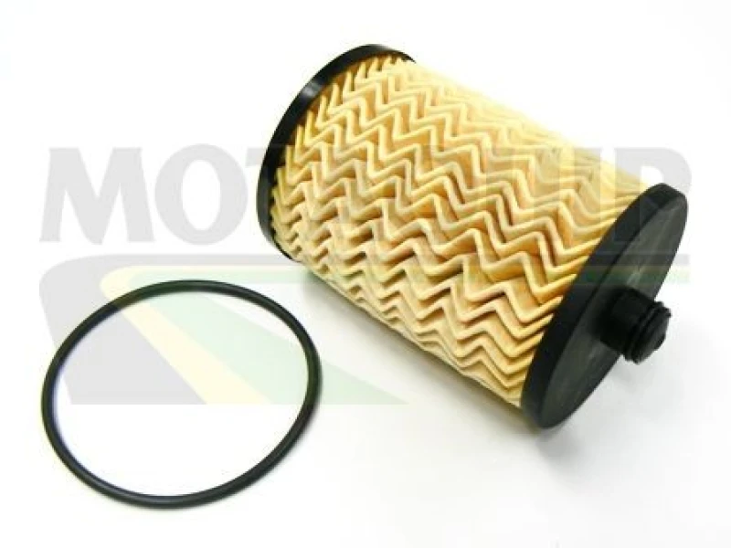 Image of MOTAQUIP Fuel filter MOTAQUIP VFF479