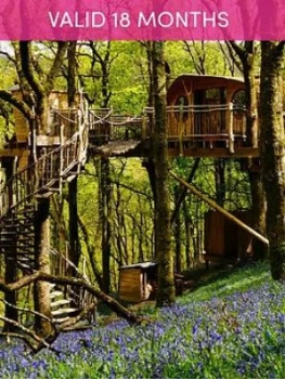 image of Activity Superstore Two Night Tree House Escape For Two