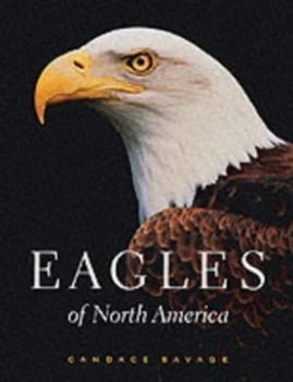 Image of Eagles of North America by Candace Savage Paperback