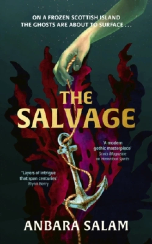 Image of The Salvage : A gothic tale with a powerful sense of place and an eerie atmosphere Sunday Times Hardback