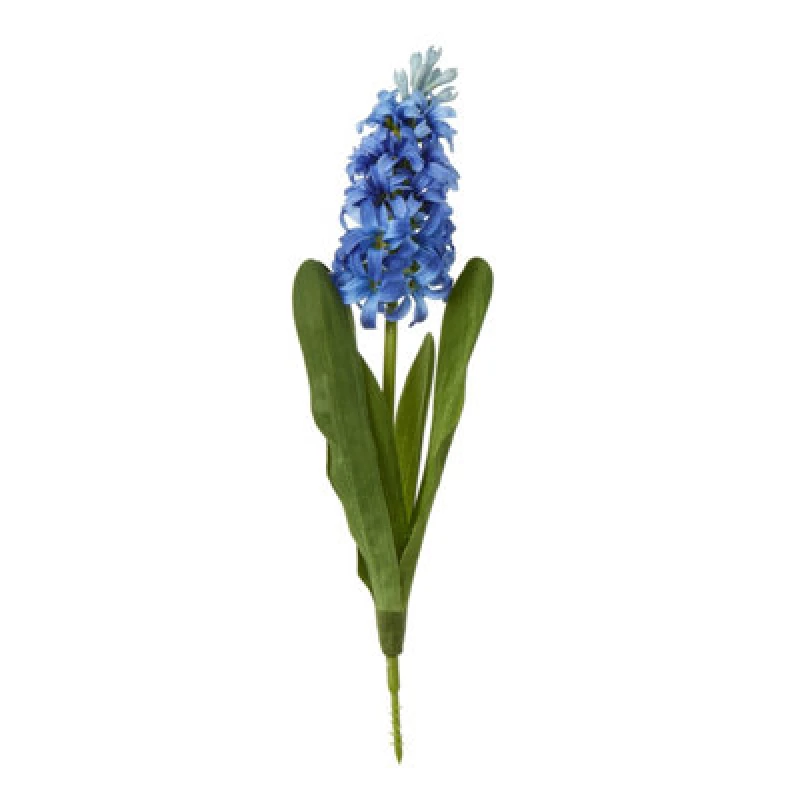 Image of Blue Hyacinth Stem