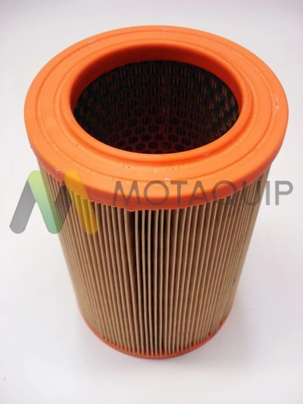 Image of MOTAQUIP Air filter MOTAQUIP LVFA1443