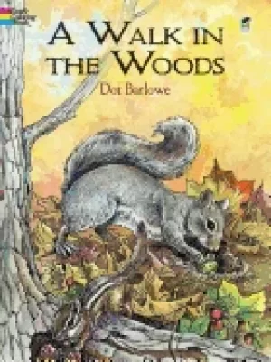Image of walk in the woods