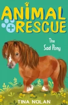 Image of The Sad Pony