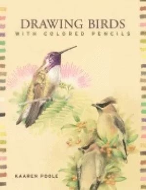 Image of drawing birds with colored pencils