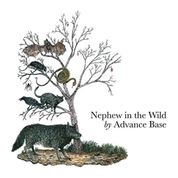 Image of Advance Base - Nephew In The Wild CD