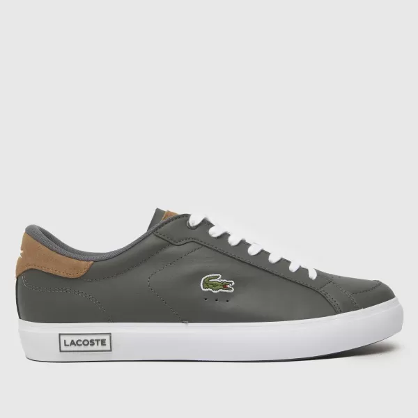 Lacoste powercourt trainers in brown & grey