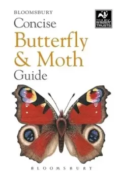 Image of Concise butterfly and moth guide by