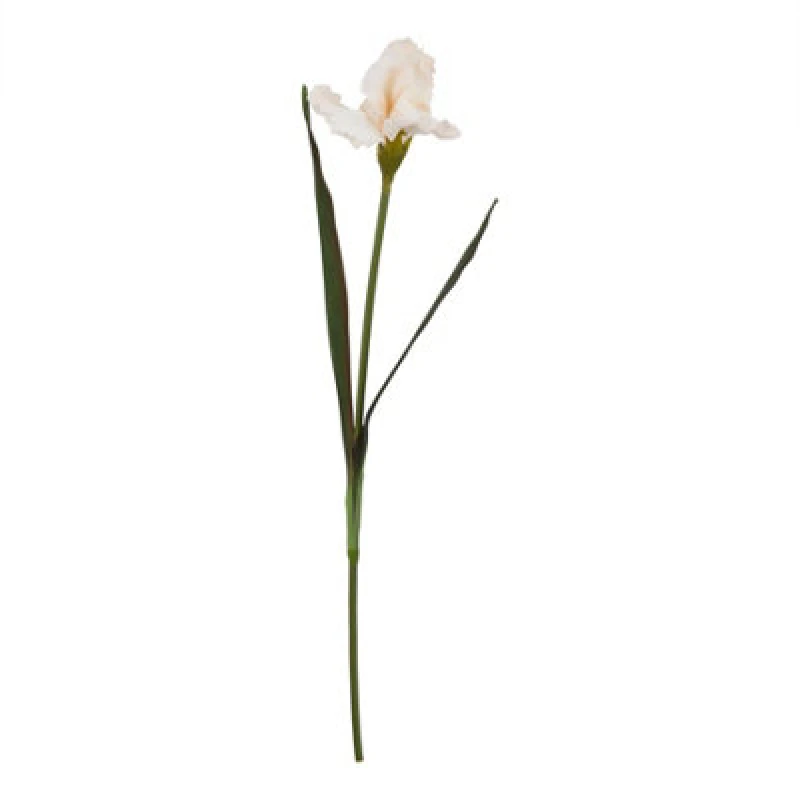 Image of Hill Interiors The Natural Garden Collection Fringed Iris Artificial Flower Pale Apricot (One Size)