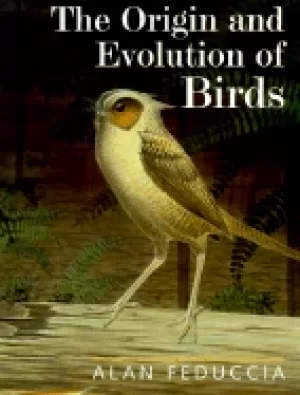 Image of origin and evolution of birds