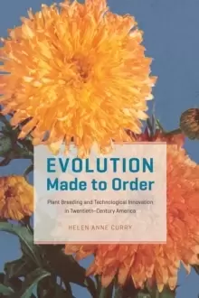 Image of Evolution Made to Order : Plant Breeding and Technological Innovation in Twentieth-Century America