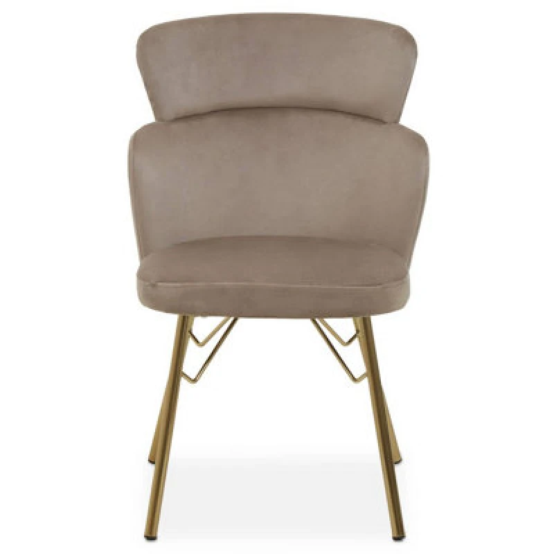 Image of Orsina Mink Velvet Chair, Rustless Velvet Armchair, Easy To Assemble Bedroom Chair, Easy To Clean Outdoor Chair