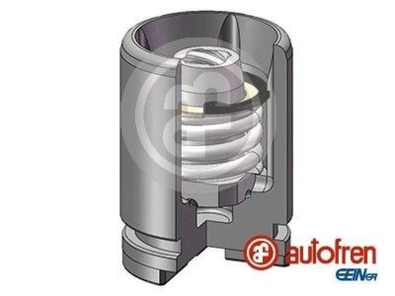 Image of AUTOFREN SEINSA Brake caliper piston AUTOFREN SEINSA D025233K