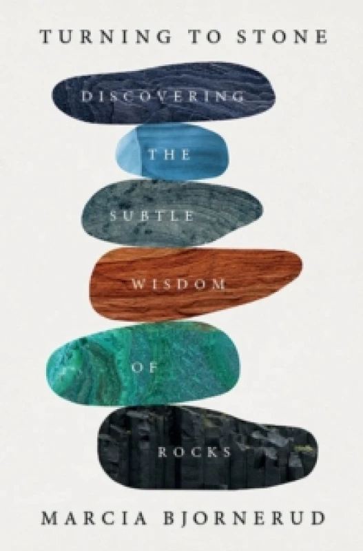 Image of Turning to Stone Hardback