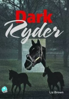 Image of Dark Ryder by Liz Brown and Paul Kropp and Robert Corrigan and Matt Melanson Paperback