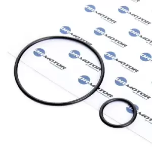 Image of DR.MOTOR AUTOMOTIVE Gasket Set, intake manifold FIAT,PEUGEOT,CITROEN DRM116 455605,455606,455605 455606