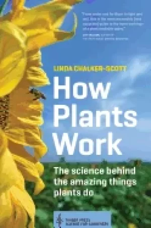 Image of how plants work the science behind the amazing things plants do