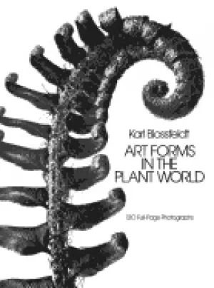 Image of art forms in the plant world