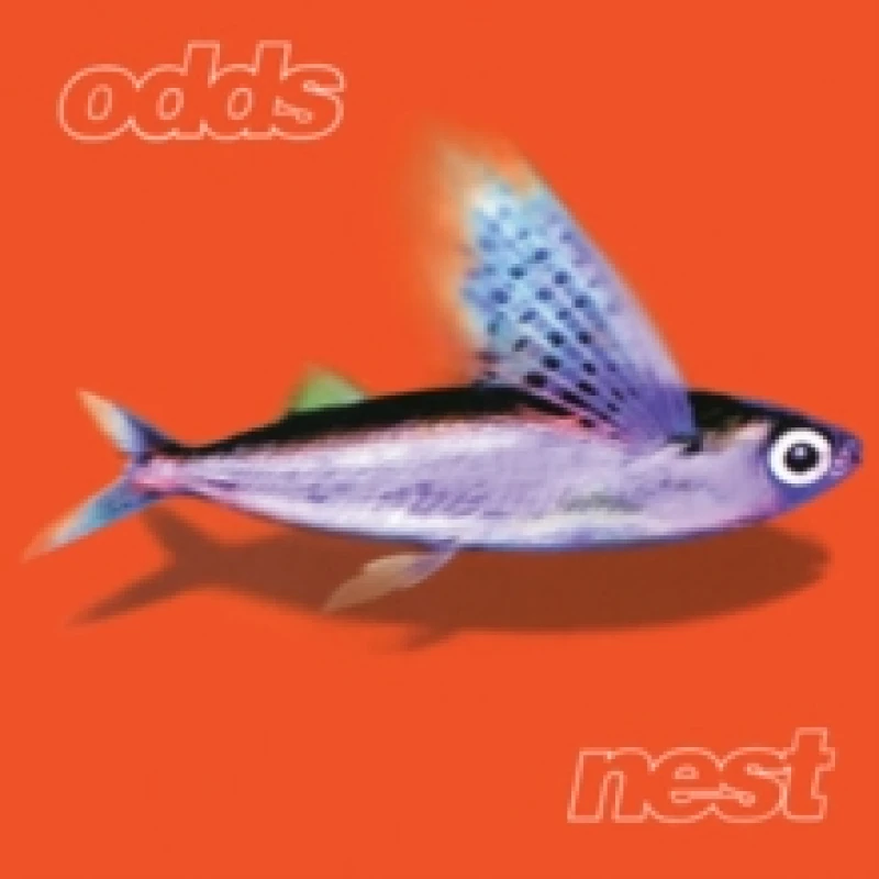 Image of Nest Vinyl