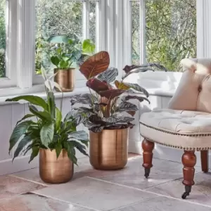 Image of Ivyline Indoor Chelsea Brass Planter - Small