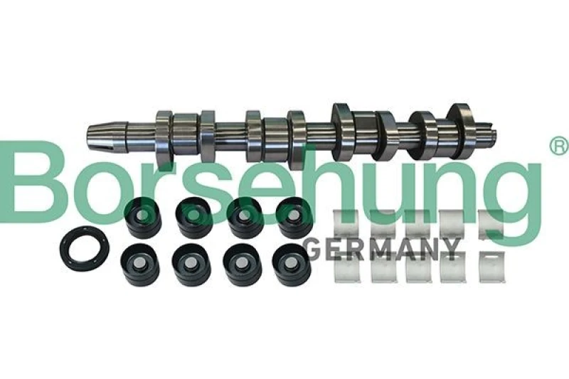 Image of Borsehung Camshaft kit Borsehung B11307