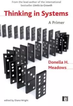 Image of Thinking in systems by Diana Wright