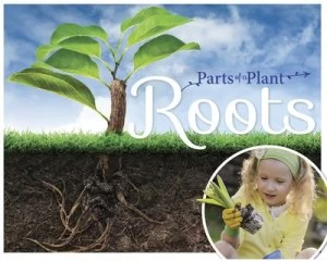 Image of Roots by Gemma McMullen