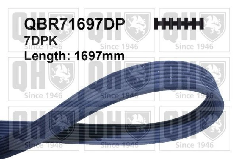 Image of QUINTON HAZELL Serpentine belt QUINTON HAZELL QBR71697DP
