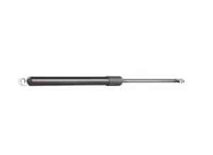 Image of RIDEX Tailgate strut BMW 219G0295 51242231663