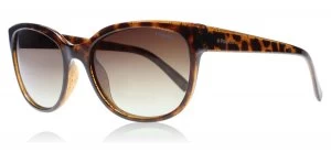 Image of Polaroid 4030S Sunglasses Tortoise / Glitter Q3V Polariserade 55mm