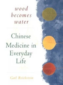 Image of Wood Becomes Water by Gail Reichstein Paperback