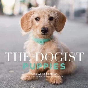 Image of The Dogist Puppies Paperback / softback 2018