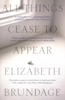Image of All things cease to appear by Elizabeth Brundage