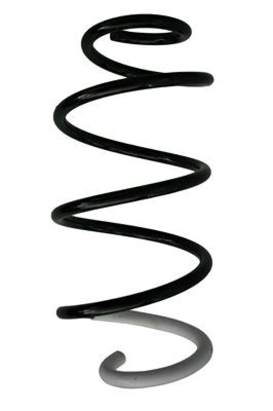 Image of Coil spring SPIDAN 87363