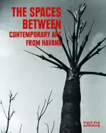 Image of spaces between contemporary art from havana