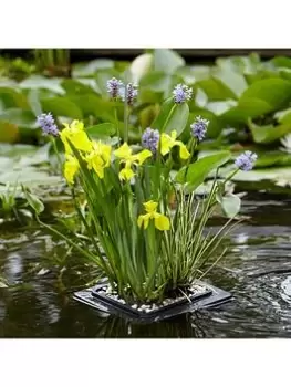 Image of Complete Pond Floating Raft Kit -Plants, Gravel & Raft