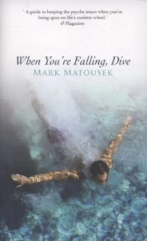 Image of When Youre Falling Dive by Mark Matousek Paperback