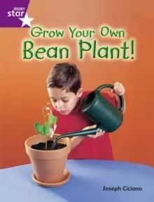 Image of Rigby Star Guided Quest Purple: Grow Your Own Bean Plant!