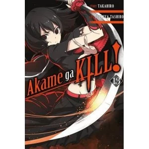 Image of Akame Ga Kill!: Volume 13