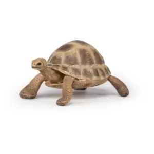 image of Papo Wild Animal Kingdom Hermann's Tortoise Toy Figure, 3 Years or...