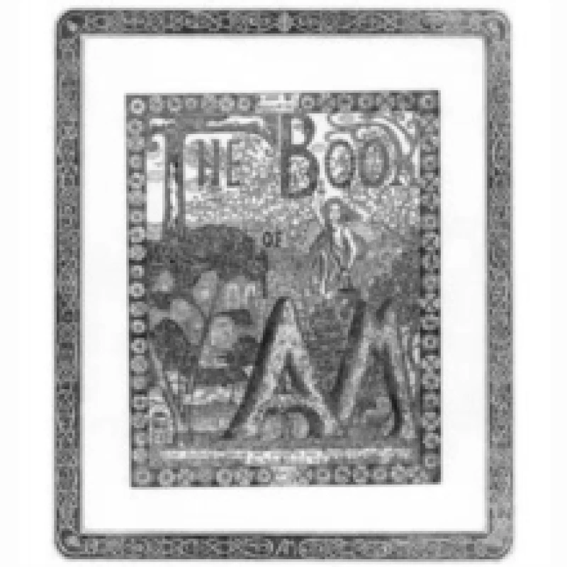 Image of The Book of AM Part V: Night Vinyl