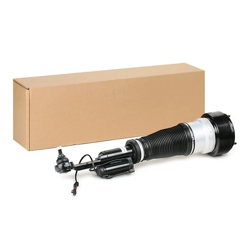 Image of RIDEX Air suspension strut RIDEX 4118A0034