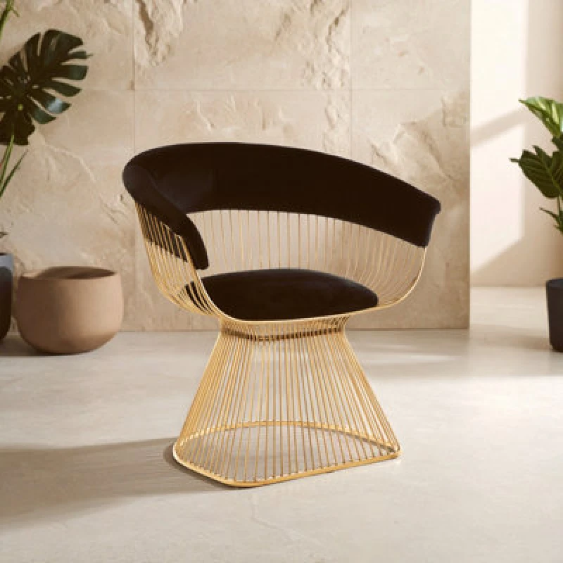 Image of Premier Housewares Elegant Black Velvet And Gold Finish Chair, Durable And Sturdy Dining Chair, Versatile Breakfast Room Chair Black