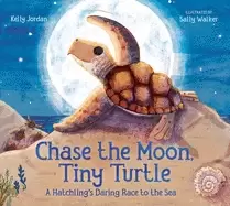 Image of chase the moon tiny turtle a hatchlings daring race to the sea